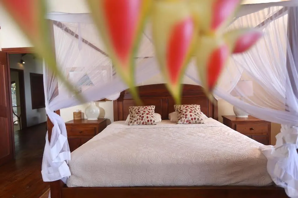 Villa Cybelle Castries Saint Lucia
